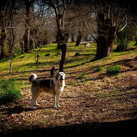 Casa De Anama Entrecinsa