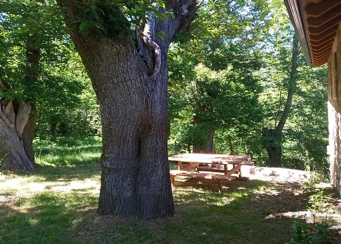 Semesterbostad Casa De Anama *