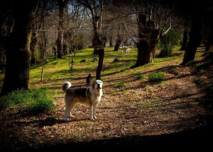 Casa De Anama Entrecinsa